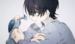 动漫男男黄图,动漫男男黄图背后的故事