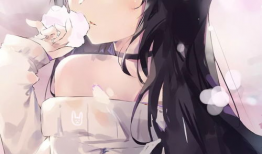 好看的纯肉动漫,探寻那些令人垂涎欲滴的纯肉动漫世界